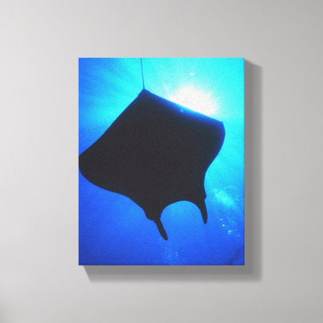 MANTA RAY CANVAS PRINT (Front)