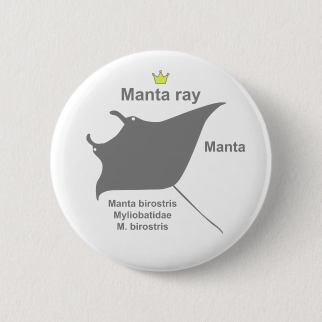 Manta ray g5 pinback button (Front)
