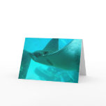 Manta Ray Greeting Card