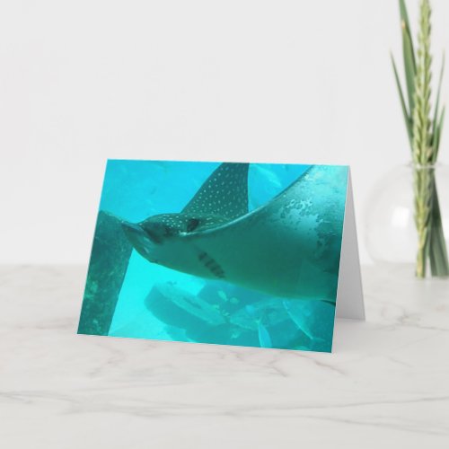 Manta Ray Greeting Card