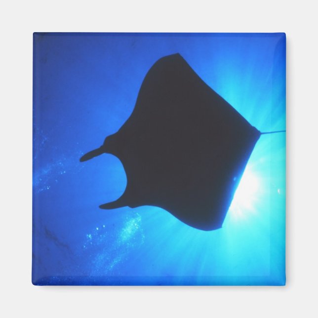 Manta Ray Silhouette Magnet (Front)