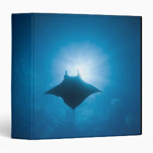Manta swimming underwater binder