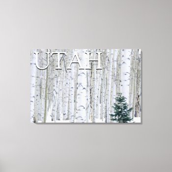Manti-lasal National Forest  Utah Canvas Print by OneWithNature at Zazzle