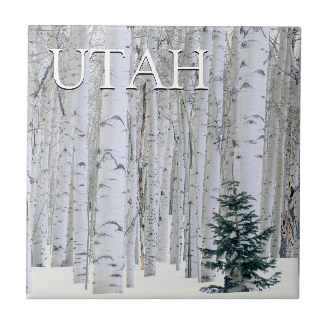 Manti-LaSal National Forest, Utah Ceramic Tile (Front)