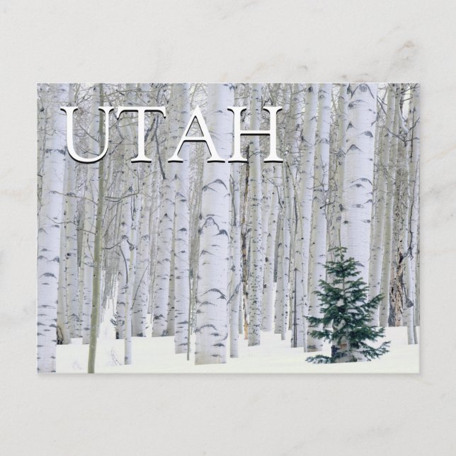 Manti-LaSal National Forest, Utah | Happy Birthday Postcard (Front)