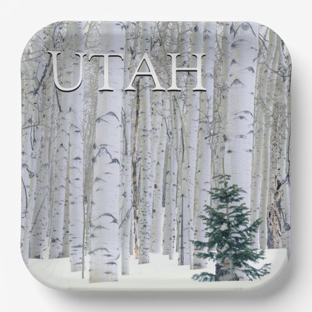Manti-LaSal National Forest, Utah Paper Plates (Front)
