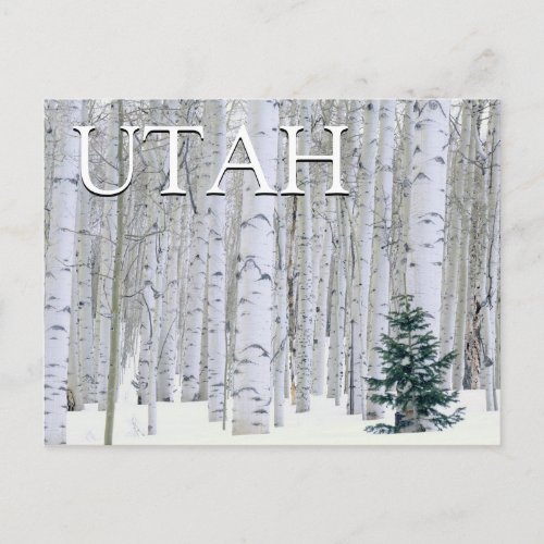 Manti_LaSal National Forest Utah Postcard