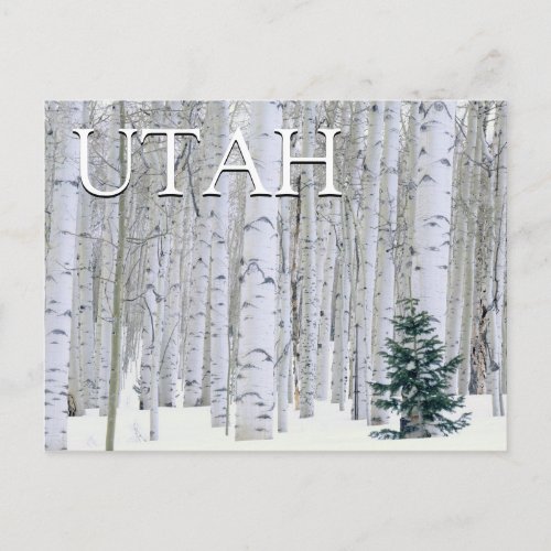 Manti_LaSal National Forest Utah  Thank You Postcard