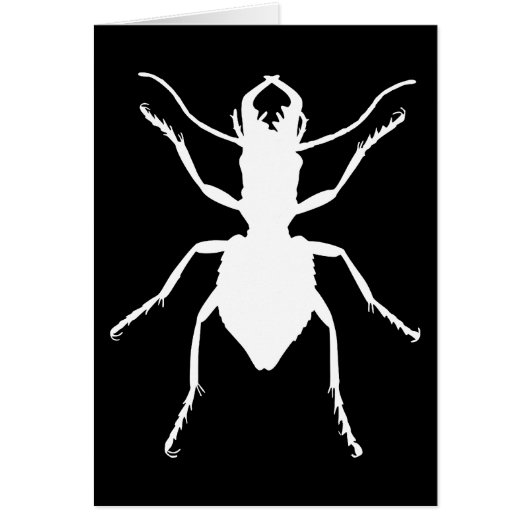 Manticora tuberculata cards (Front)