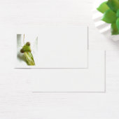 Mantids (Desk)