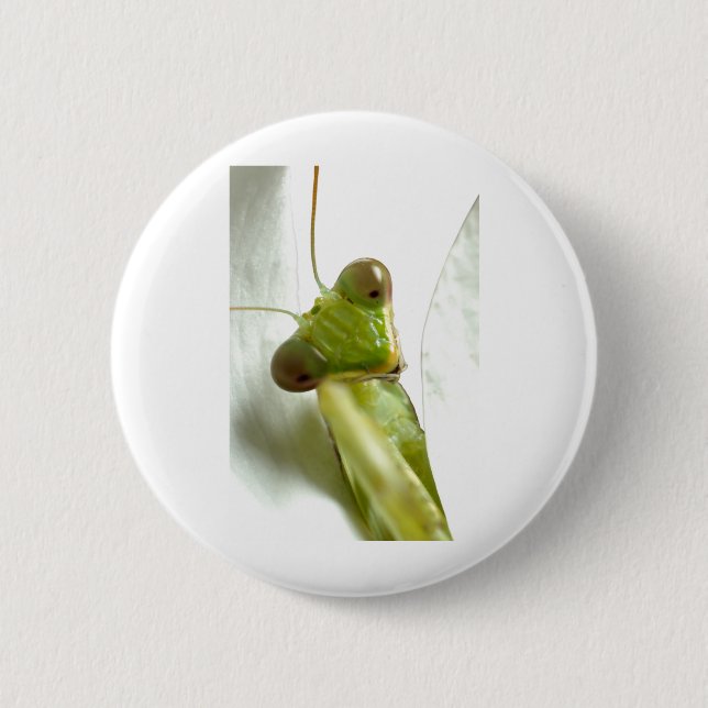 Mantids Button (Front)