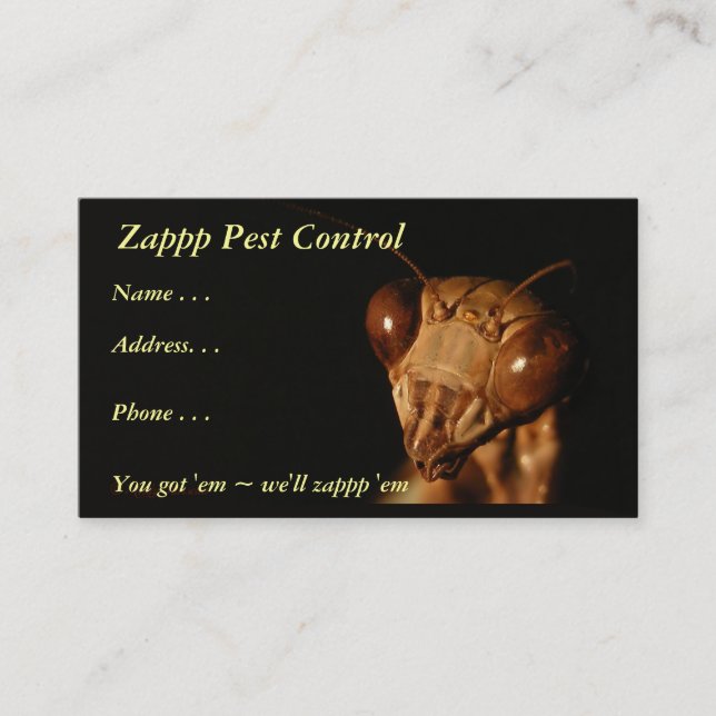 Mantis 15 ~ business card (Front)