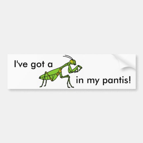 Mantis in my Pantis Bumper Sticker