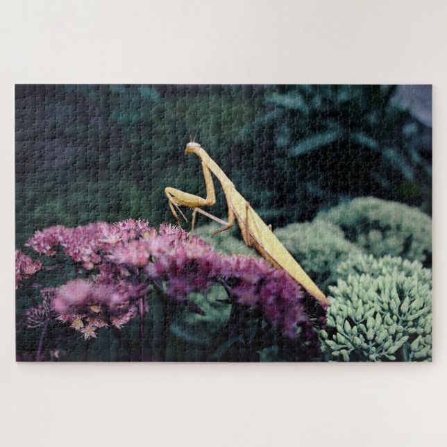 Mantis Purple Prayer Puzzle - 20x30'' 1014 Pieces (Horizontal)