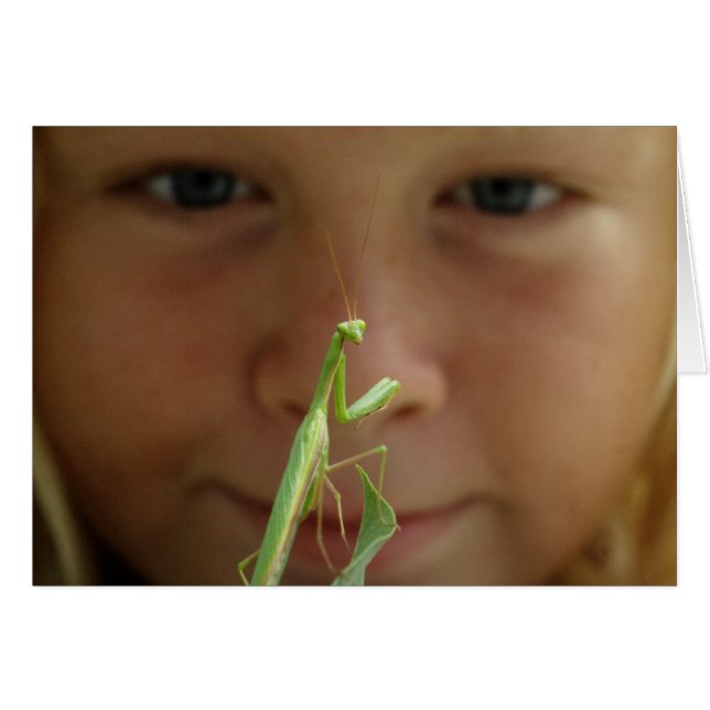 Mantis religiosa cards (Front Horizontal)