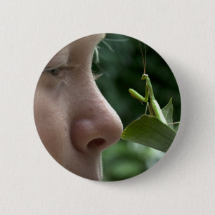 Mantis religiosa pinback button