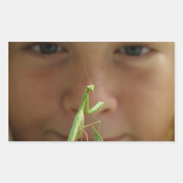 Mantis religiosa rectangular sticker (Front)