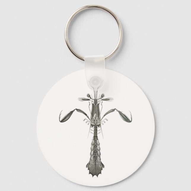Mantis Shrimp Keychain (Front)