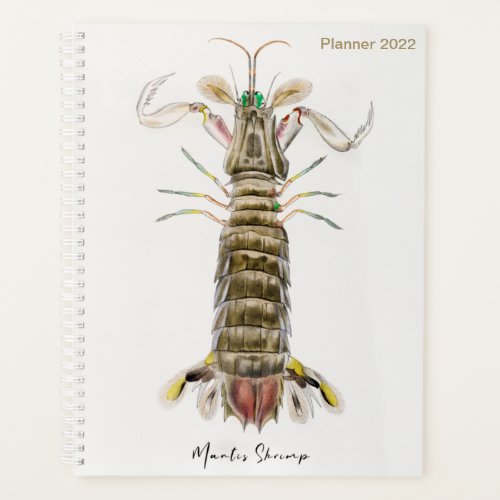 Mantis Shrimp Stomatopod James Ellsworth De Kay Planner