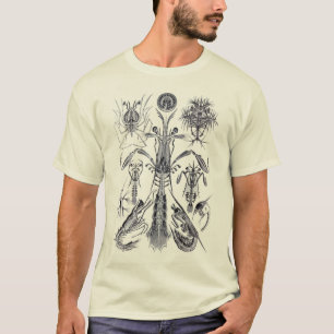 Mantis Shrimp T-Shirt