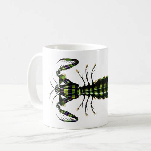 Mantis Shrimp _ Vintage Design Coffee Mug