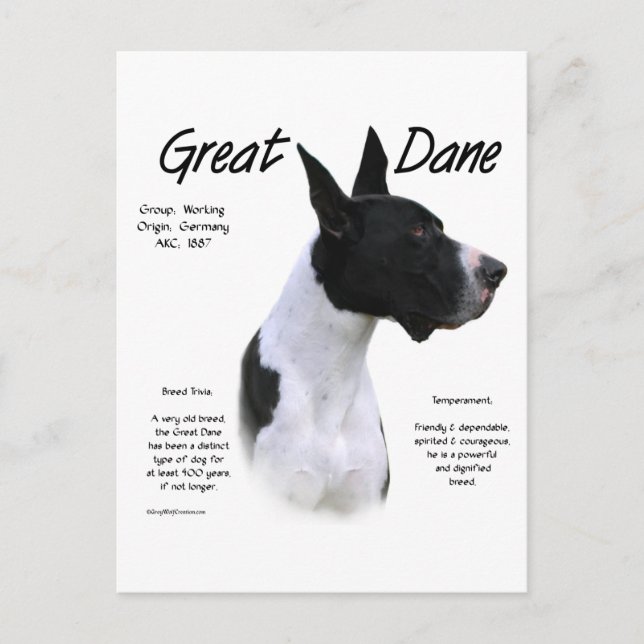 Mantle Great Dane Meet the Breed Postcard (Front)