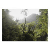 Manu National Park (Front Horizontal)