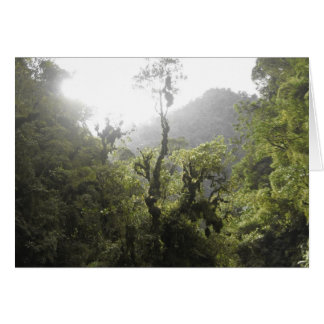 Manu National Park Cards