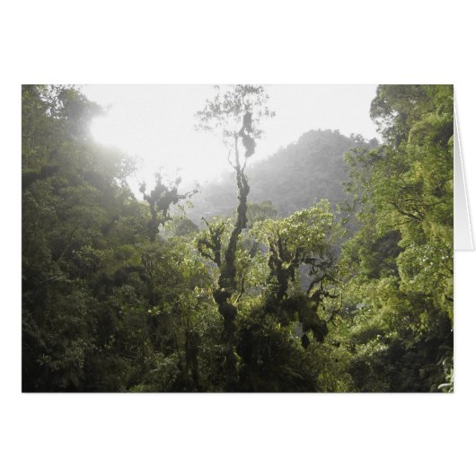 Manu National Park Cards (Front Horizontal)