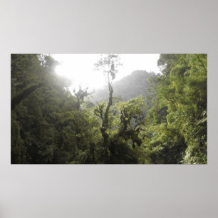 Manu National Park Poster