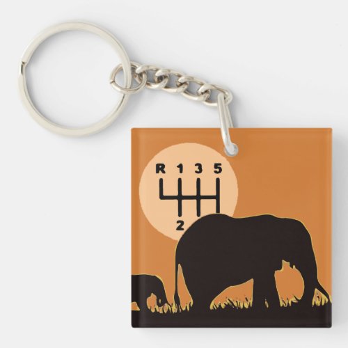 MANUAL _ Endangered Keychain