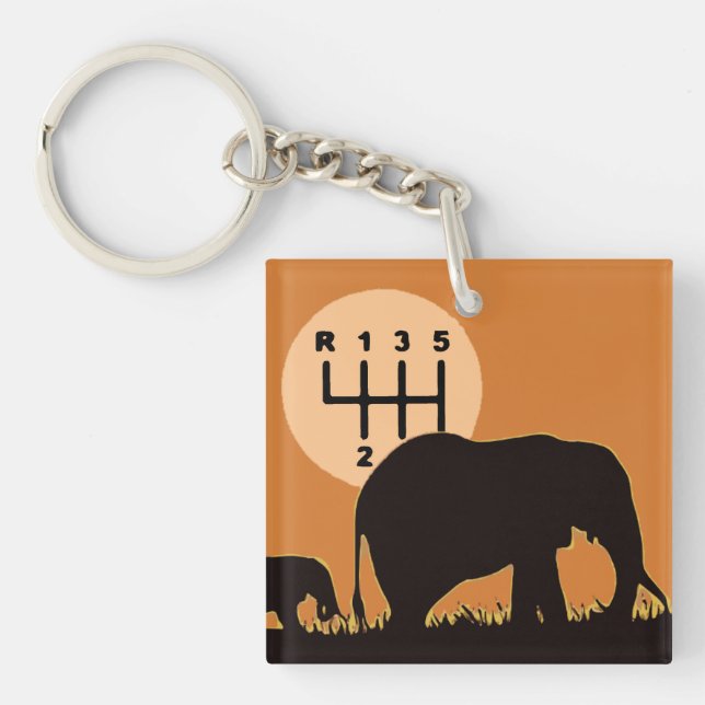 MANUAL - Endangered Keychain (Front)