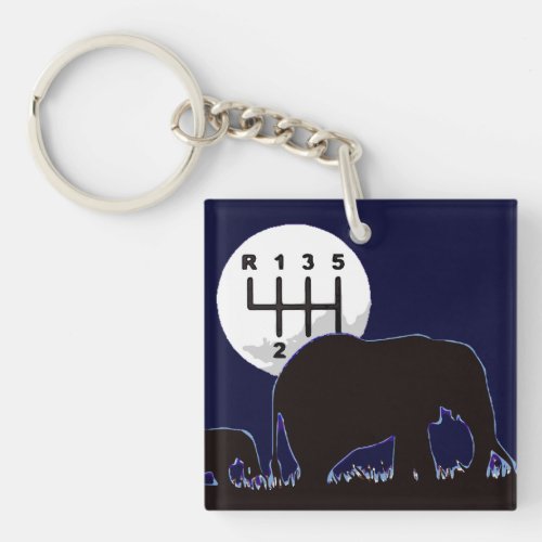 MANUAL _ Endangered Keychain