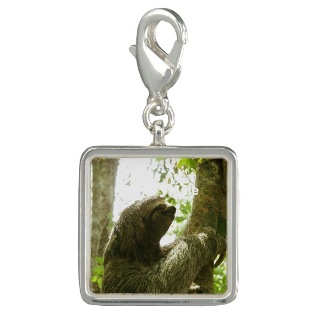 Manuel Antonio Charm (Front)