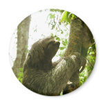 Manuel Antonio Magnet