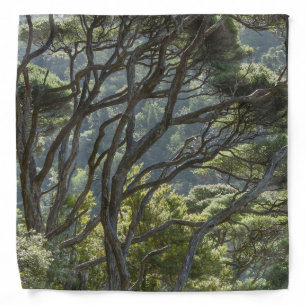 Manuka Tree Forest New Zealand Bandana