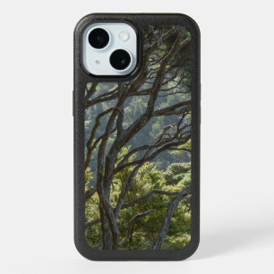 Manuka Tree Forest New Zealand iPhone 15 Case