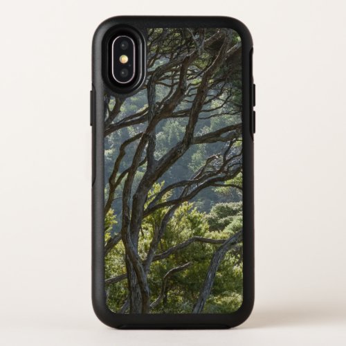Manuka Tree Forest New Zealand OtterBox Symmetry iPhone X Case