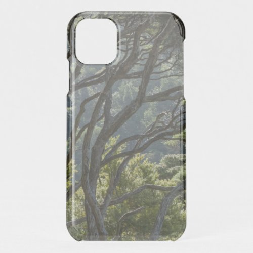 Manuka Tree Forest New Zealand iPhone 11 Case