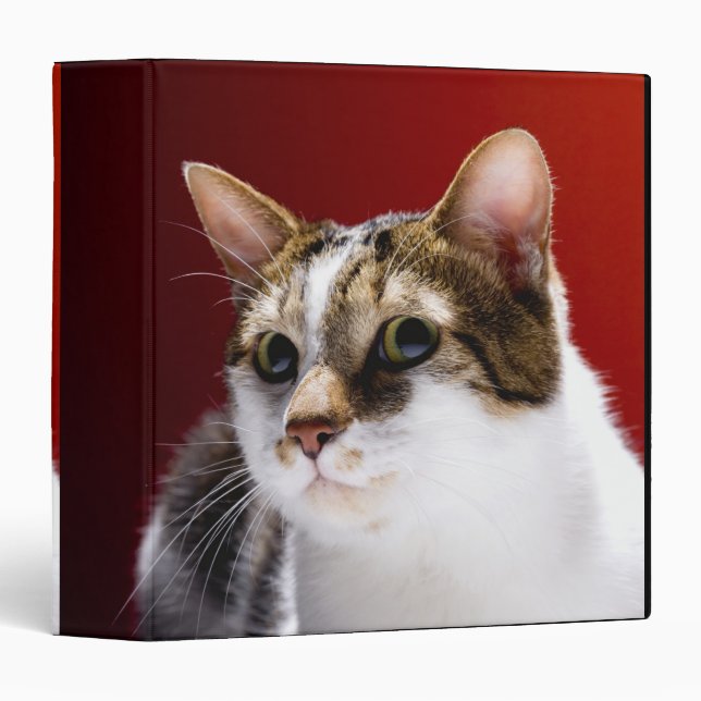 Manx cat 3 ring binder (Front/Spine)