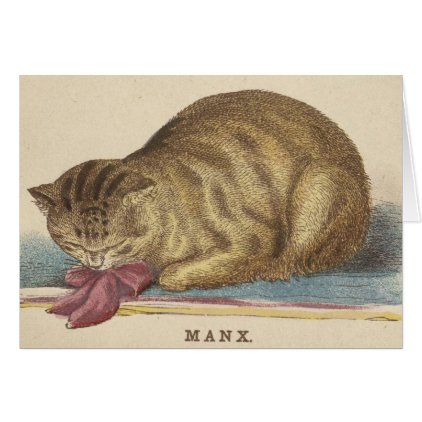 Manx Cat Card