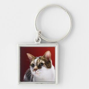 Manx cat keychain