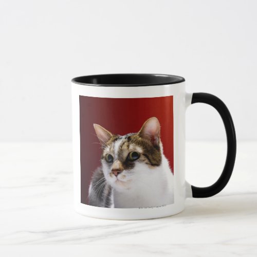 Manx cat mug