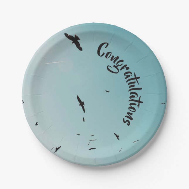 Many birds and a contrail dinner plate (Front)