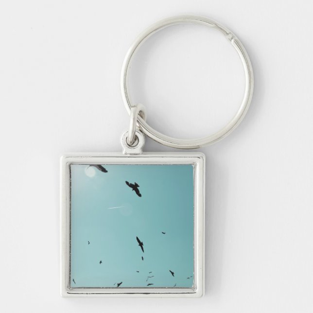 Many birds and a contrail keychain (Front)