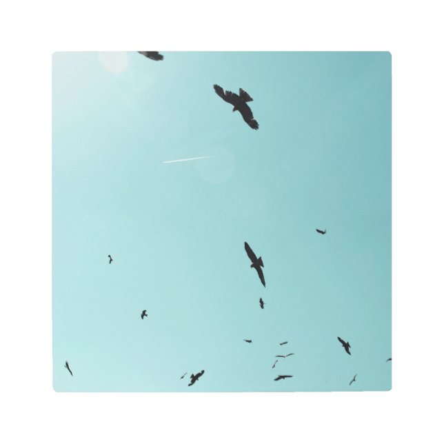 Many birds and a contrail metal print (Front)