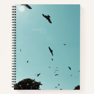 Many birds and a contrail notebook