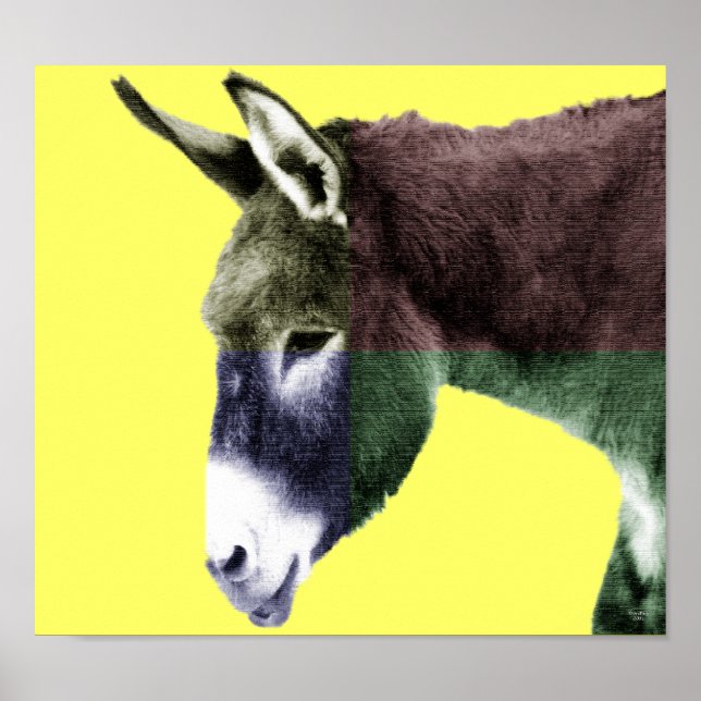 Many Colors Burro Poster (Front)