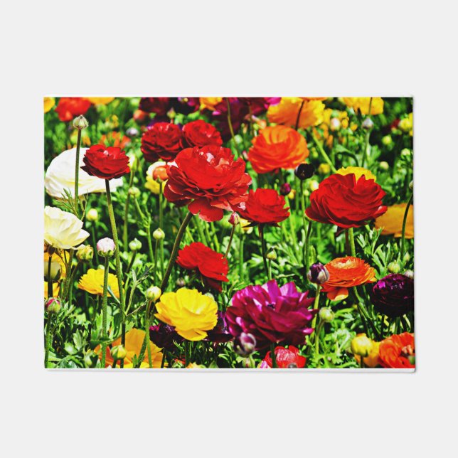 Many Colors Of Ranunculus Doormat (Front)