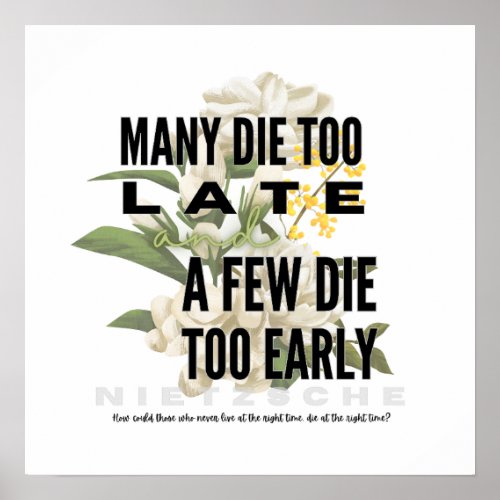 Many die too late and a few too early NIETZSCHE Poster